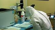 La Universidad de Zaragoza estudia si su vacuna contra la tuberculosis es útil para combatir el coronavirus