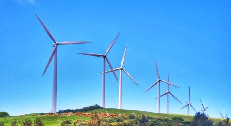acciona-energia-eolicos.jpg