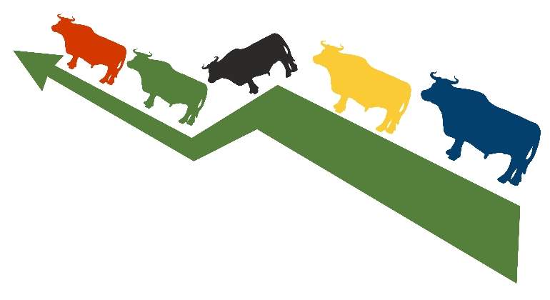 flecha-sube-toro-dreamstime.jpg