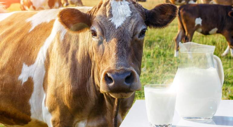Leche
