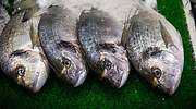 Uno de cada tres pescados que se consumen en España están infectados con anisakis