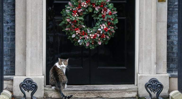 downing-street-10-navidad-gato-reuters.jpg