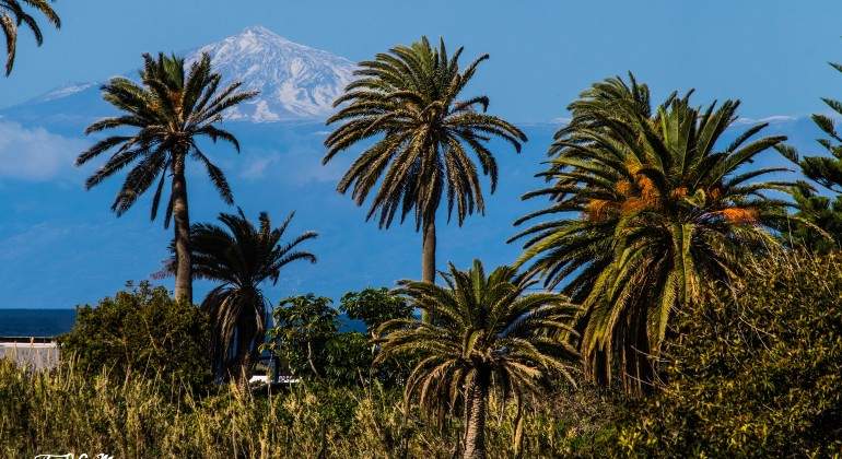 tenerife.jpg