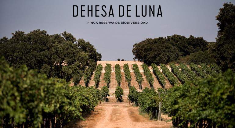 770x420-dehesa-luna-principal.jpg