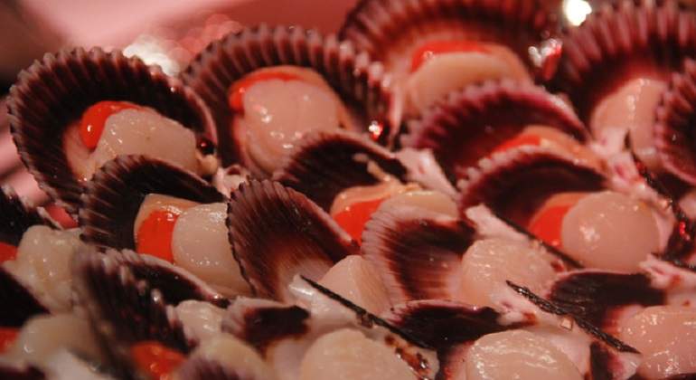 conchas_de_abanico.jpg