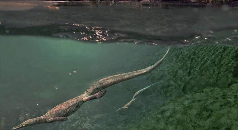 reproduccion-reptiles-ep.jpg