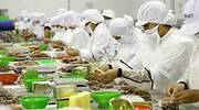 El Gobierno aprueba el PERTE agroalimentario, con el que espera que se generen hasta 16.000 empleos