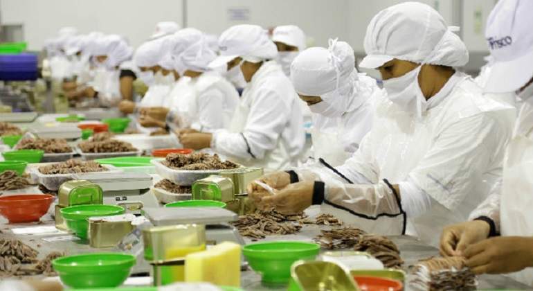 Alimentaria.jpg