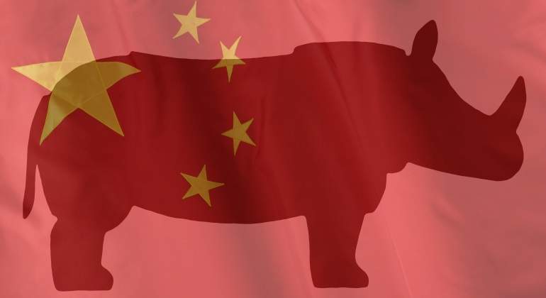 china-rinoceronte