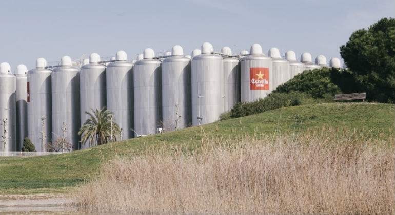 estrella-damm-campo.jpg