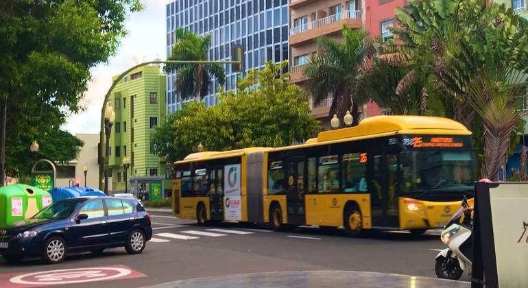 buses-canarias.jpg