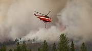 El humo de los incendios forestales puede ser el responsable de miles de muertes por Covid-19 en EEUU
