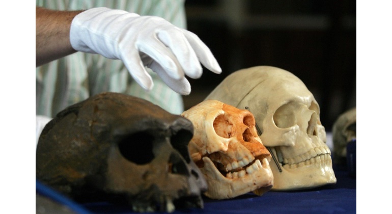 homo-florencis-getty-nature.jpg