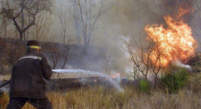 Incendio-forestal-cordoba.jpg