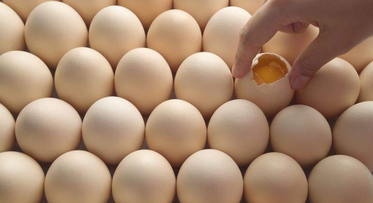 huevos-770.jpg