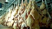 Aviso de un laboratorio: Hay que huir de los jamones baratos poco curados, hay riesgo de listeria