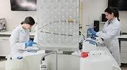 El impulso de la I+D+i en oncología en nuestro país