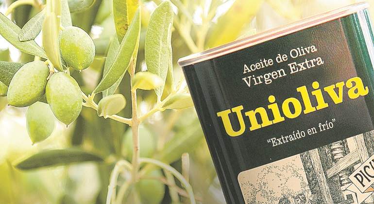 unioliva.jpg