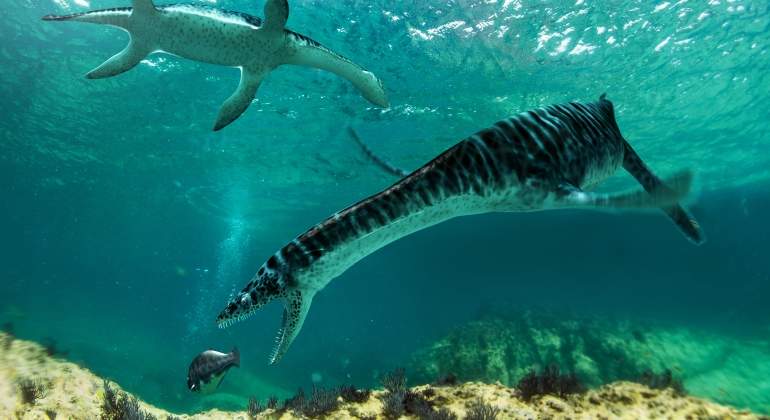 Un pequeño plesiosaurio vivió en Castellón hace 125 millones de años