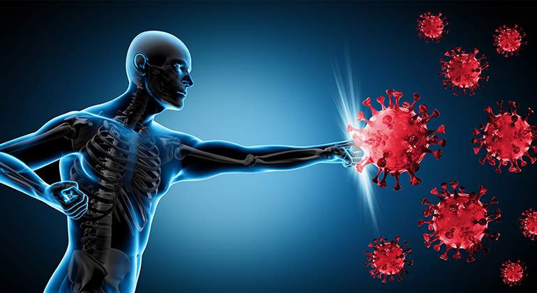 sistema-inmunitario-virus.jpg