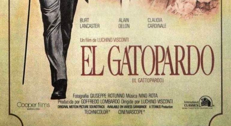 770x420gatopardo.jpg