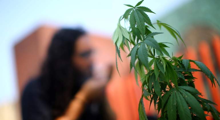 marihuana-reuters-770.jpg