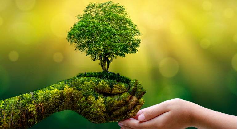 nature-defini.jpg