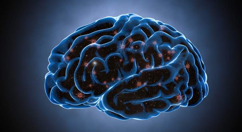 cerebro-neuronas-dreamstime.jpg