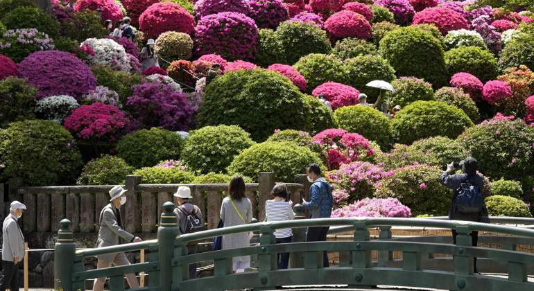 770-420-japon-turismo-efe.jpg