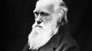 Amnistía alerta de que el PIN parental llevaría a absurdos como vetar a Darwin en la escuela