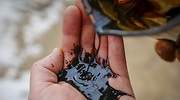 Las petroleras se aprietan la correa con deterioros superiores a 50.000 millones