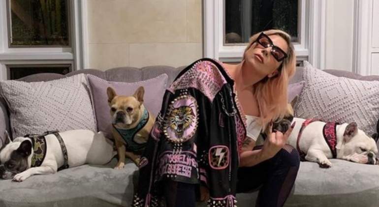 lady-gaga-perro-770.jpg