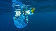 El 80% del plástico que se produce acaba en los mares
