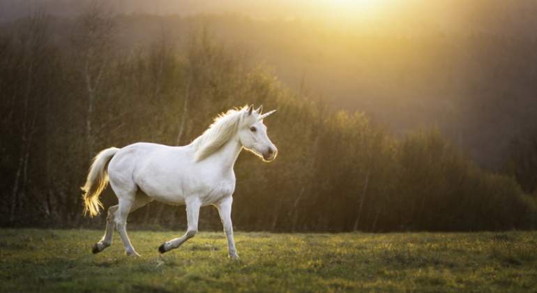 770-420-unicornio-istock.jpg