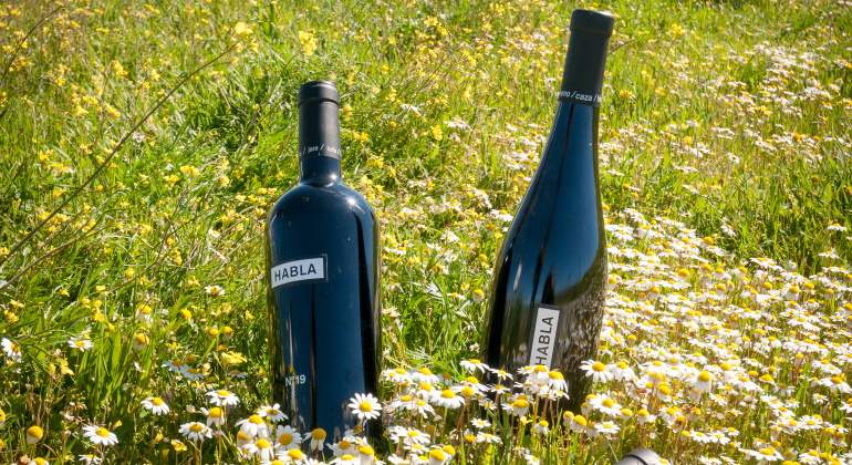 770x420-bodegas-habla-botella-vino-n18.jpg