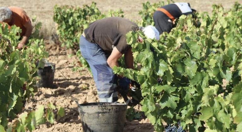 campo-trabajadores-EFE.jpg
