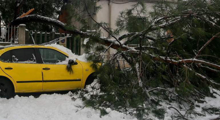 coche-arbol-danos-filomena-ep.jpg