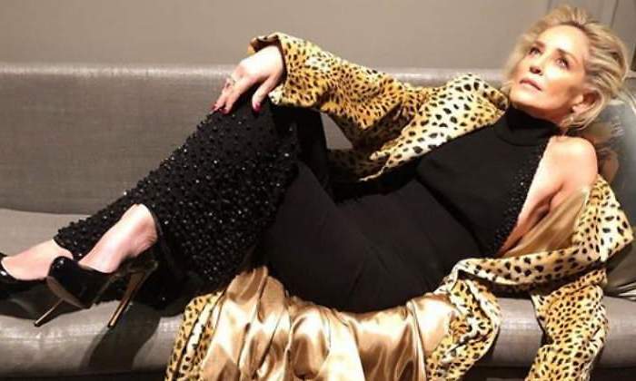 sharon.stone.teletrabajo770.jpg