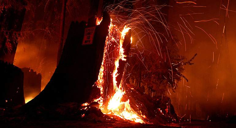 incendios-california-reuters-770.jpg