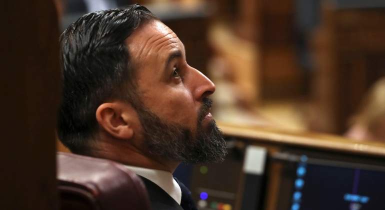 abascal-congreso-arriba-efe.jpg