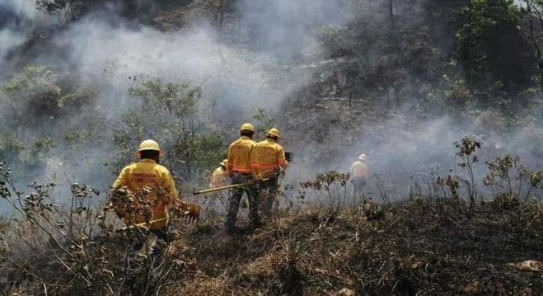 incendios-forestales-mexico-proteccion-civil.jpg