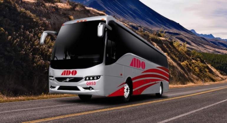 ADO 770.jpg