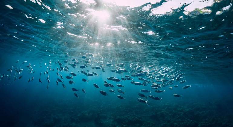 oceano-istock-770.jpg