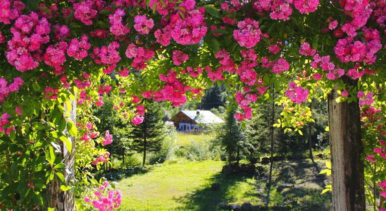 jardin-dreamstime.jpg
