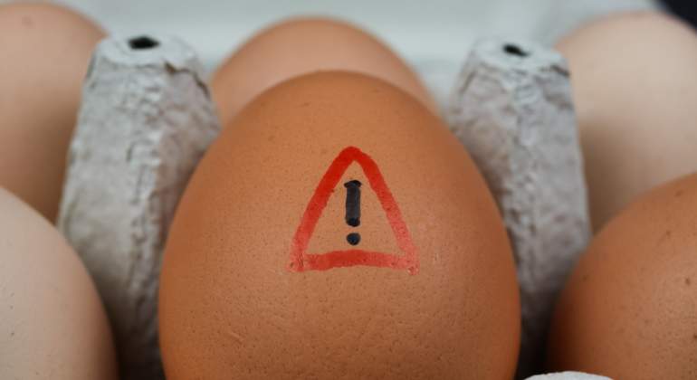 salmonelosis-huevos-origen-espana-europa-istock.jpg