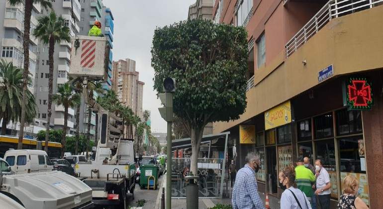 canarias-calle.jpg