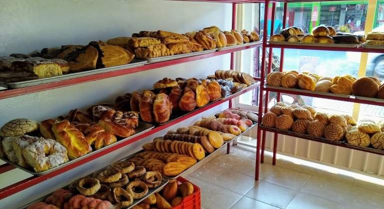 expendio-pan-panificadoras.jpg
