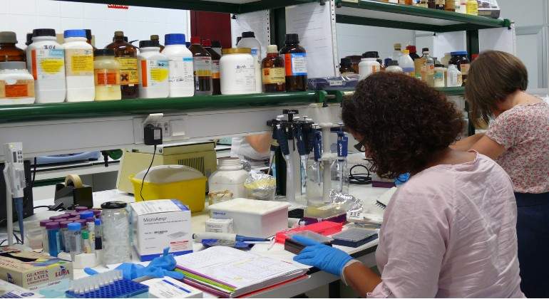 investigacion.jpg