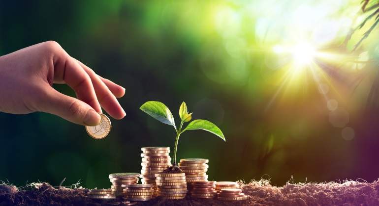 planta-y-dinero.jpg