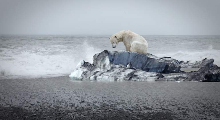 oso-polar-cabizbajo-hielo-derritiendose-calentamiento-global-cambio-climatico-getty-770x420.jpg